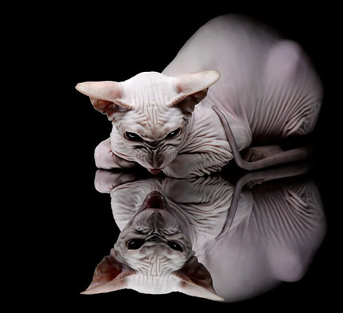 逆袭！韩国队双杀强敌，马琳封神扛起全队