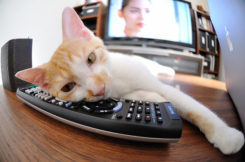 袖珍车队的破壁之战，哈斯绝杀梅赛德斯，佩雷兹以凡人之躯扛起神殿