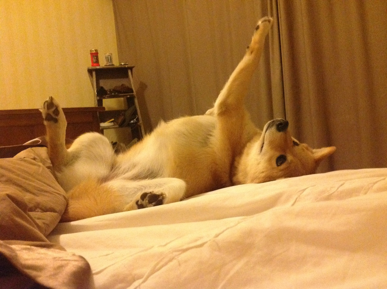 无声的盾与燎原的火，当戈贝尔用防守写下骑士的败北史诗