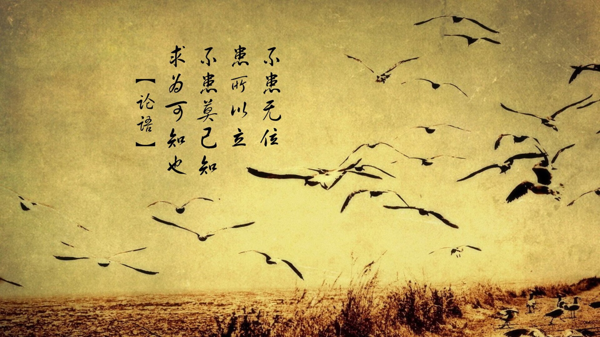 双城记，德罗赞的冰火之舞与辽宁队的钢铁牢笼