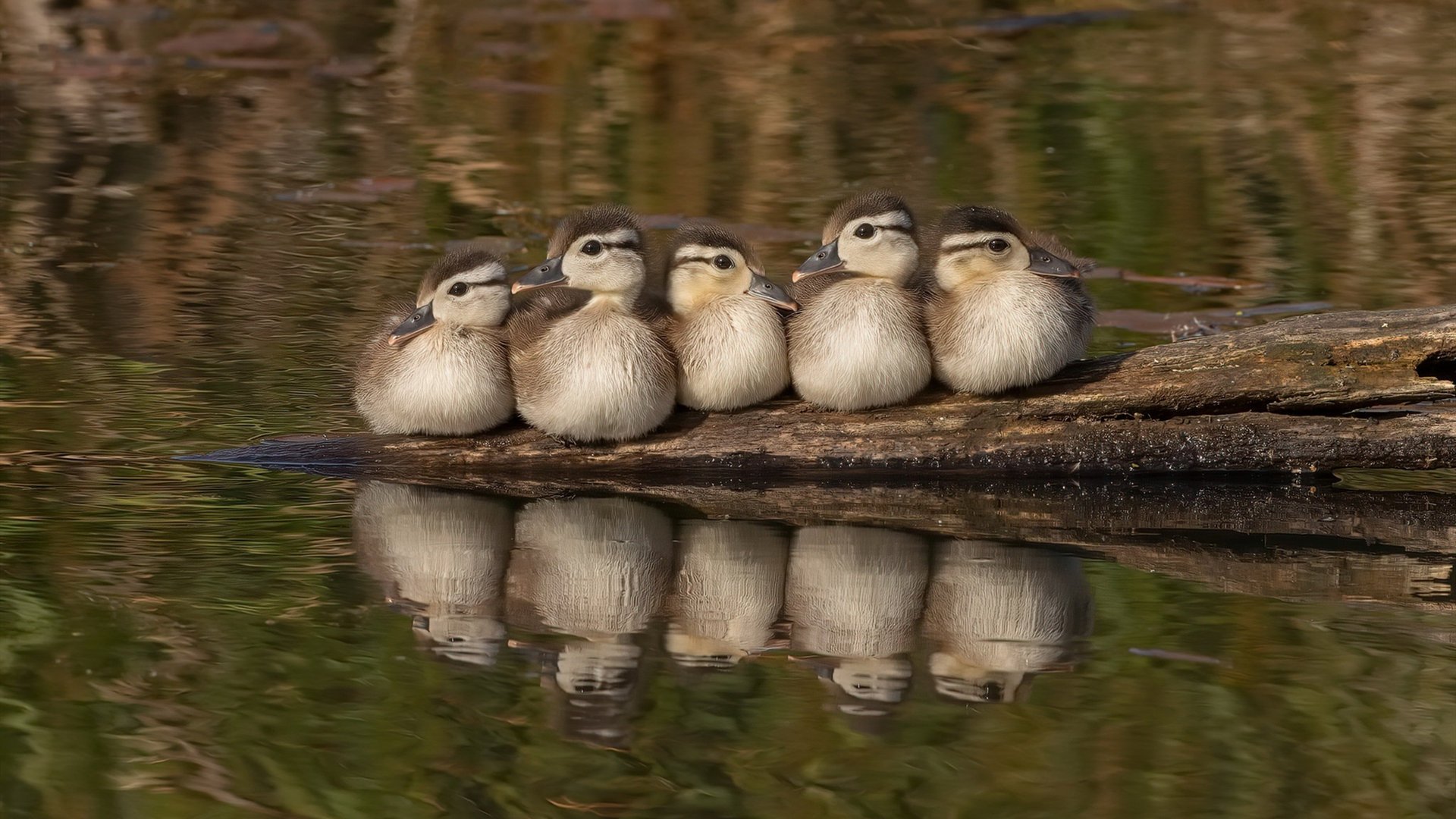 阿什拉夫一锤定音，洪都拉斯硬仗中击沉巴斯克雄狮
