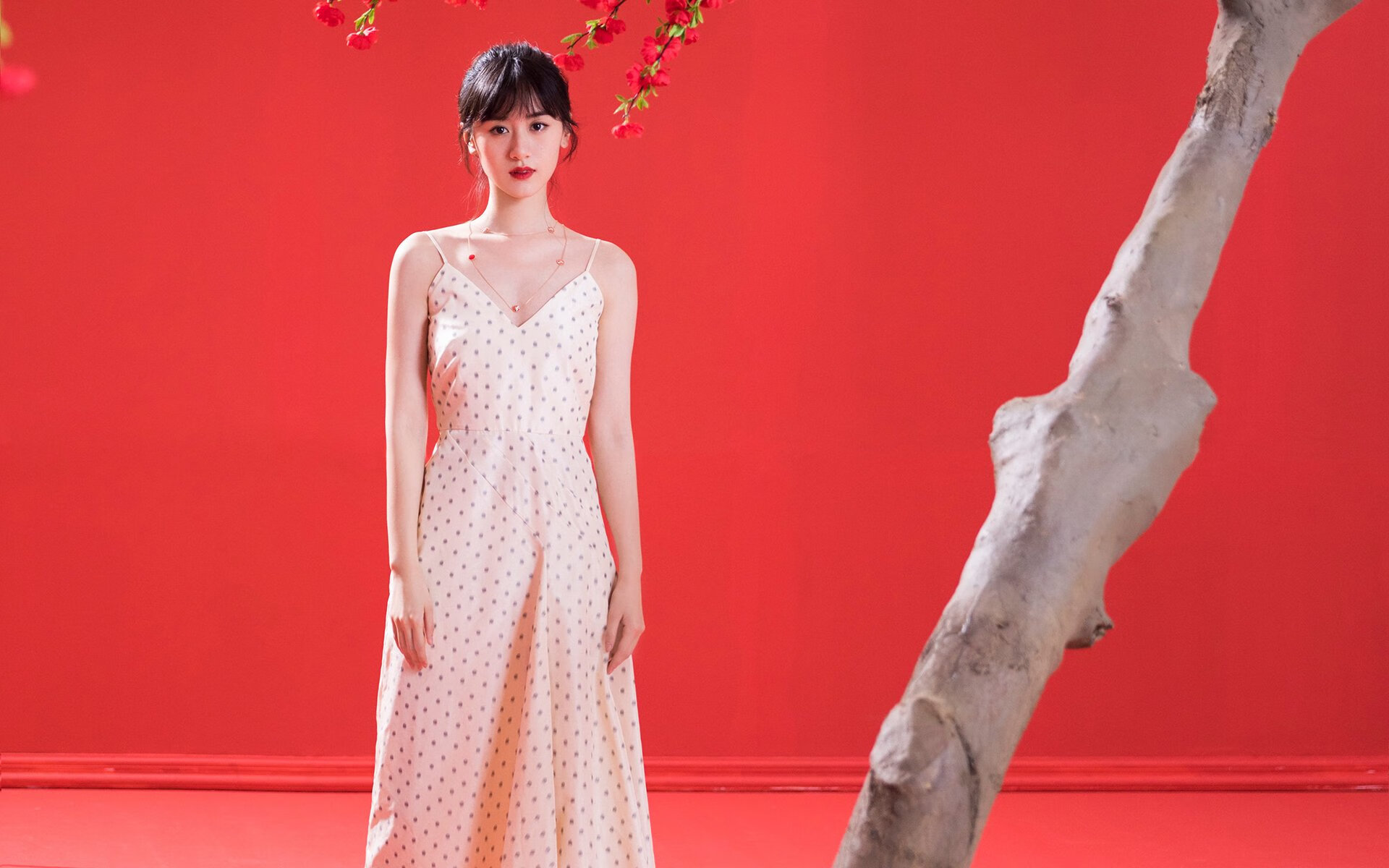 阴影中绽放,F1年度争冠之夜的唯一主宰