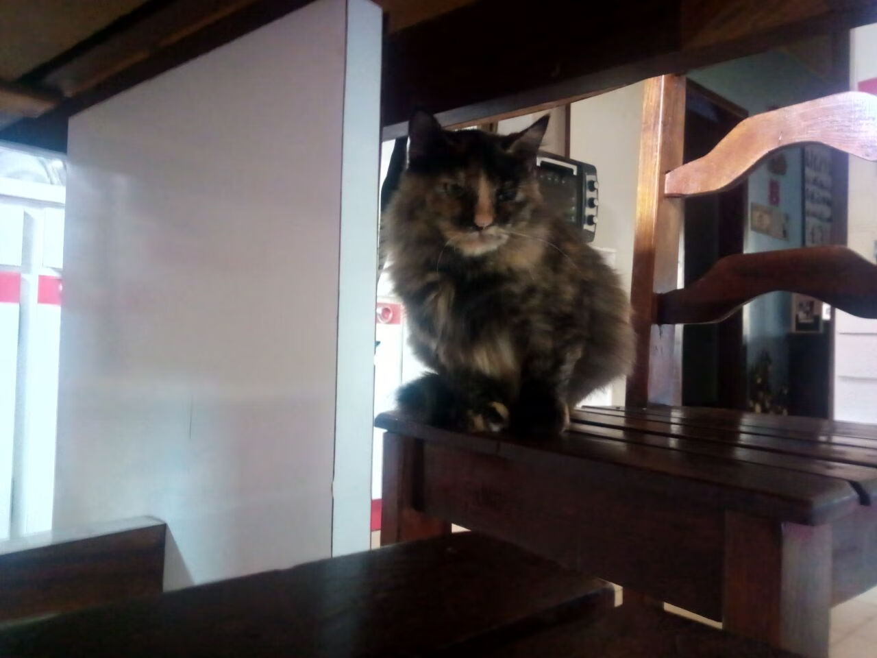 单骑救主！武切维奇化身关键先生，吉林队极限反杀太阳