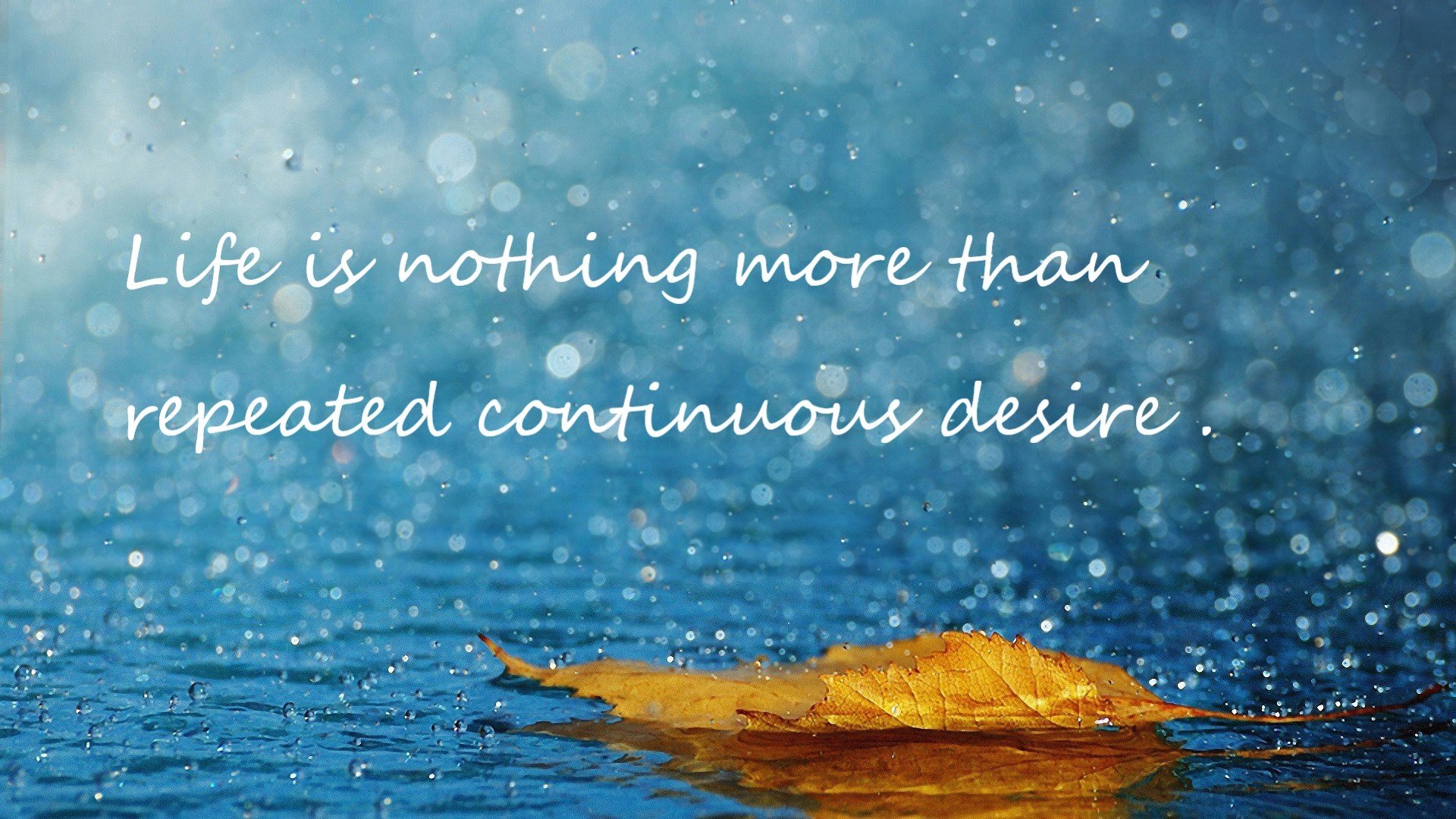 当库里时刻在CBA上演，深圳生死战的关键先生启示录