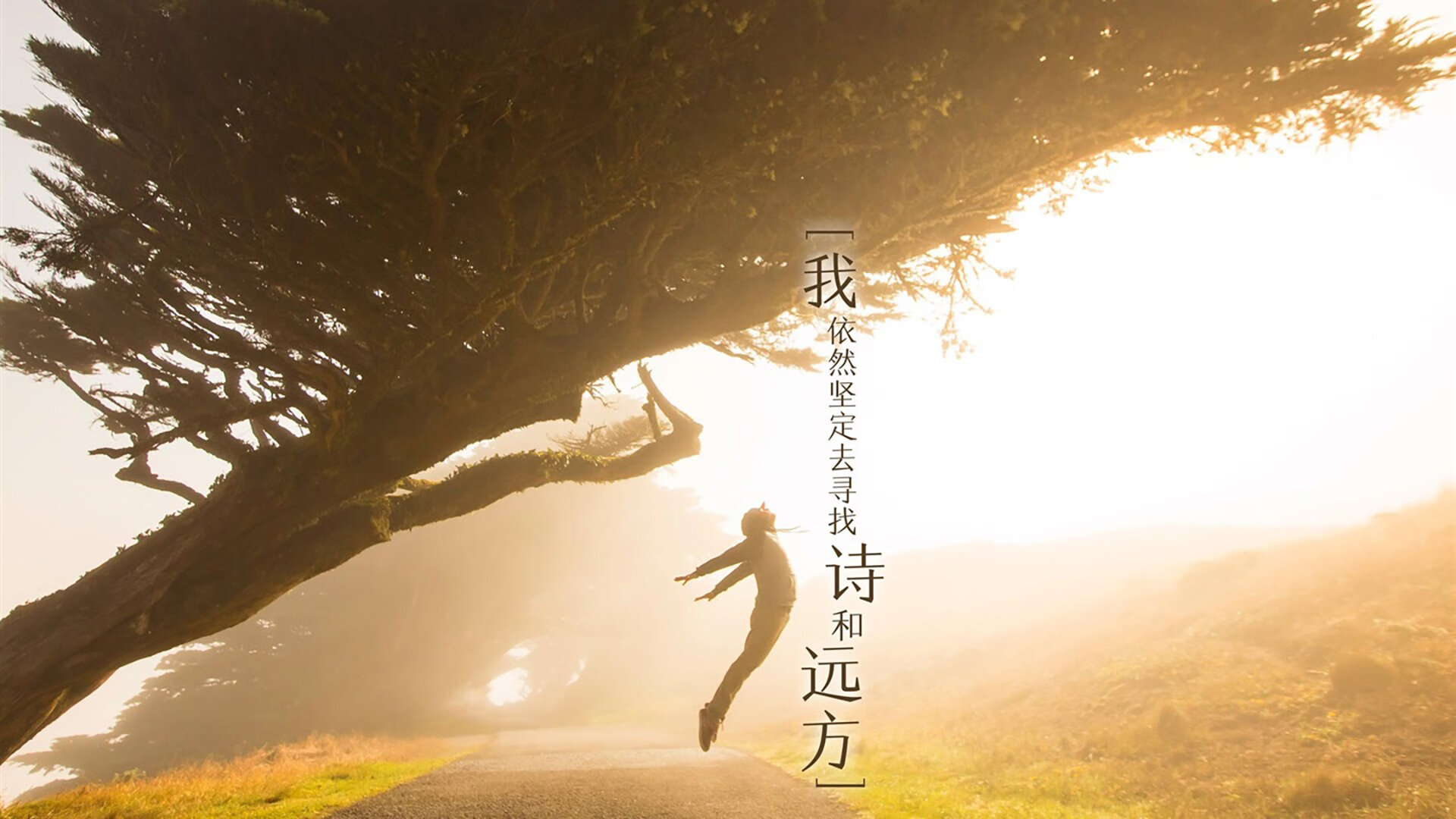 神话与回归,当泰国足球的惊雷,劈开2026世界杯的冰岛极光